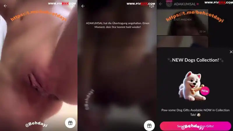 Ada kumsal tangoda amını parmaklayıp inliyor - Bedava türbanlı porn